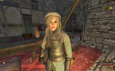 mount and blade face mod
