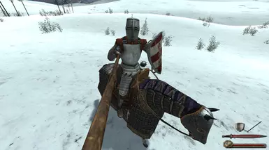 Swadian Selfie Stick