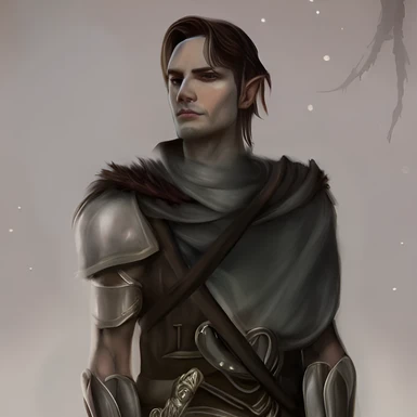 icewind dale portraits all