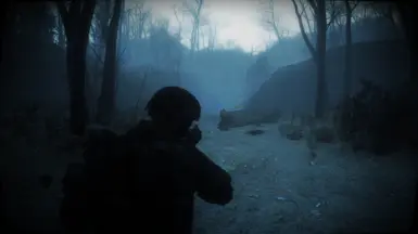 v1.1 