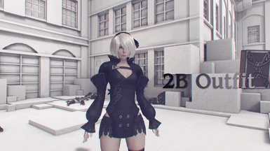 Reincarnation 2B Outfit