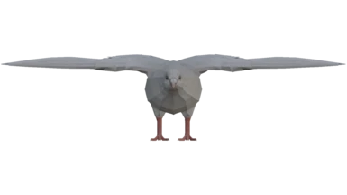 Pigeon Pod