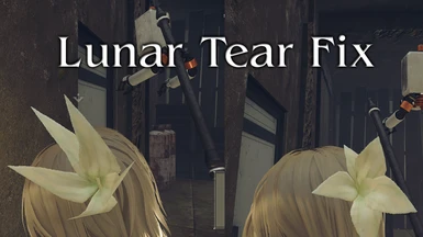 Lunar Tear Fix