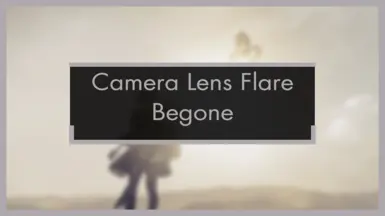 Camera Lens Flare Begone