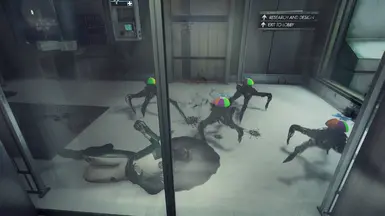 Beanie Mimics