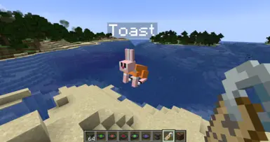 Toast is replaced to anais