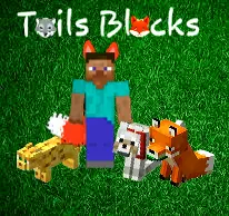 Tails Blocks MOD