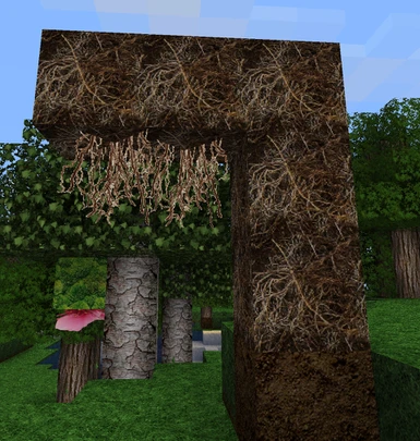 1.17 - Rooted Dirt & Hanging Roots