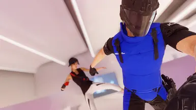 Mod Showcase: Takedowns  Mirror's Edge Catalyst 