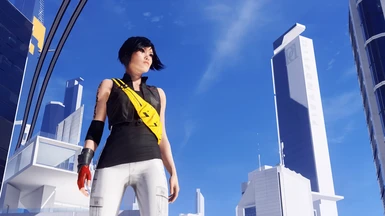 2008 Mirror's Edge Outfit