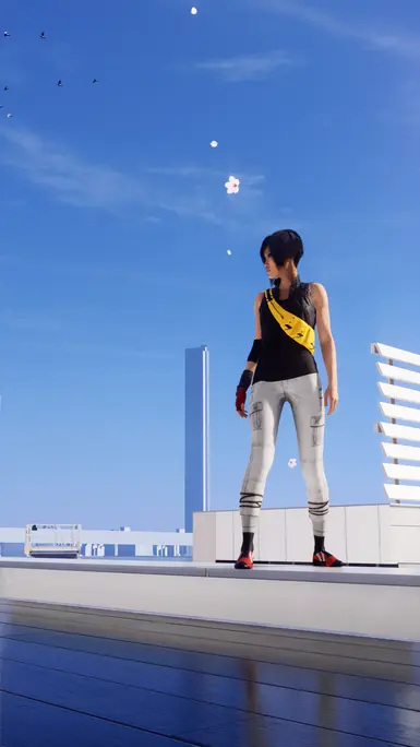 2008 Mirror's Edge Outfit at Mirror's Edge Catalyst Nexus - Mods