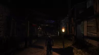 V0.2.1 + Reshade