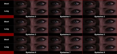 Eyelashes styles