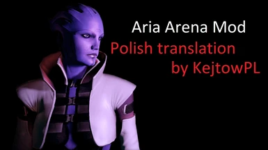 Aria Arena Mod - Polish Translation