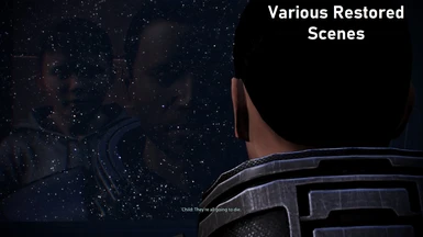 Shepard sees a hallucination