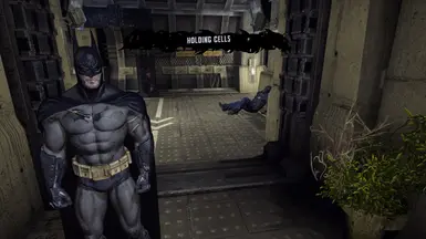 Batman: Arkham Asylum Review - Gaming Nexus