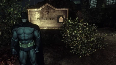 Steam Community :: :: Batman Arkham Asylum Wallpaper
