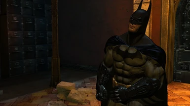 Batman Arkham City skin in Asylum