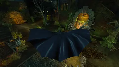 Asylum cape
