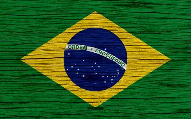 traducao para o portugues para versao gog
