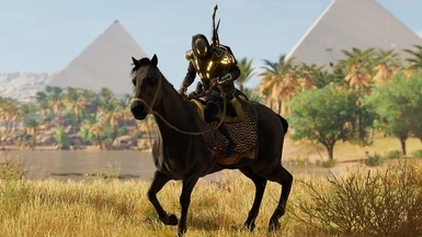 Black Gold Meri Amun (Horse)