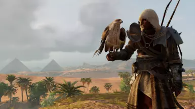 Hooded Spaniard outfit