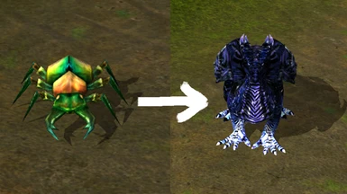 Rainbow Beetle to Galaxy Hatchling Pet
