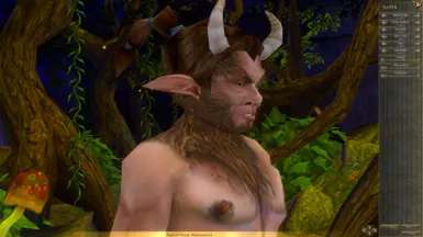 Pointy Satyr Ears