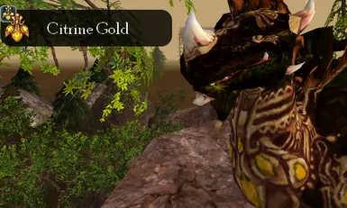 Citrine Gold