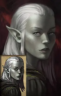 pillars of eternity portraits half elf