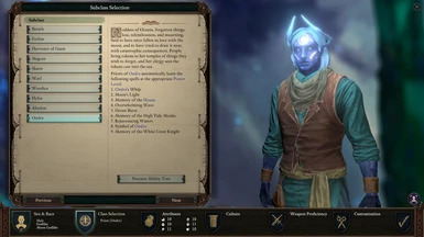Pillars Of Eternity 2 Class Guide: Priest - Fextralife