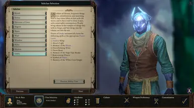 Pillars Of Eternity 2 Class Guide: Priest - Fextralife