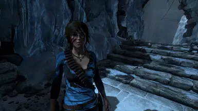 rise of the tomb raider mods nexus