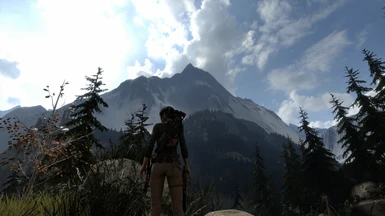 Rise of the Tomb Raider Definitive Experience Reshade