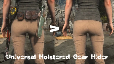 Universal Holstered Gear Hider