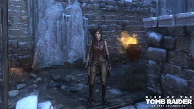 rise of the tomb raider mods endurance
