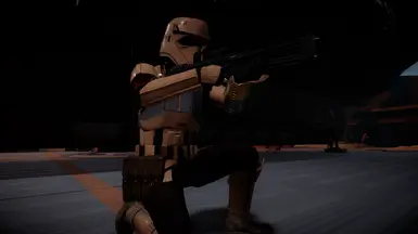 Shoretrooper Captain