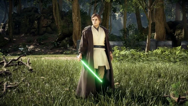Master Luke (Robes)