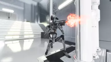 Assault