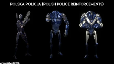 Polska Policja (Polish Police Reinforcements)