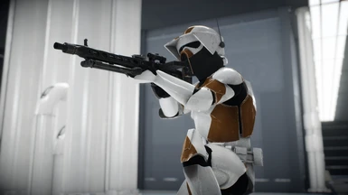 phase 2 arf trooper