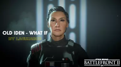 Old Iden - What If