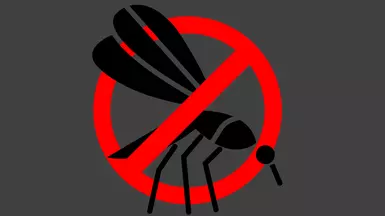 Mosquito Remover