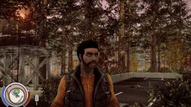 state of decay lifeline mods