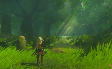 TLoZ BotW Reshade preset by inkursion With Ray tracing and Reflections  (Optimized for low-end) at The Legend of Zelda: Breath of the Wild - Mods  and community