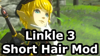 Short Hairstyles for Linkle 3.0