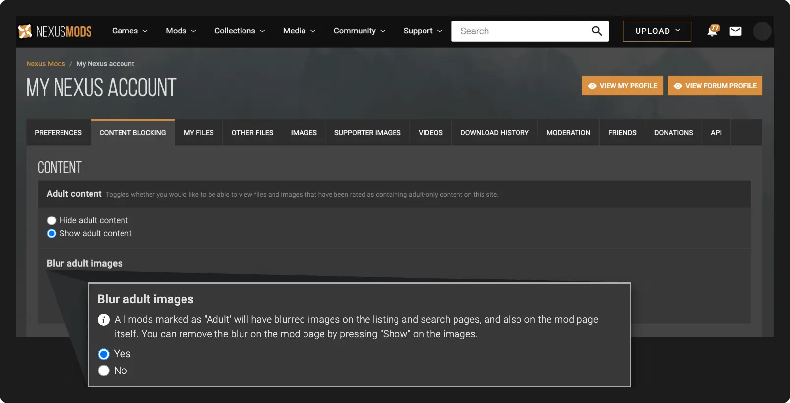 The New Blur Setting for Adult Content is Here at Nexus mods and community