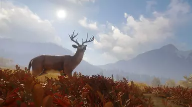 theHunter Call of the Wild Mod Support