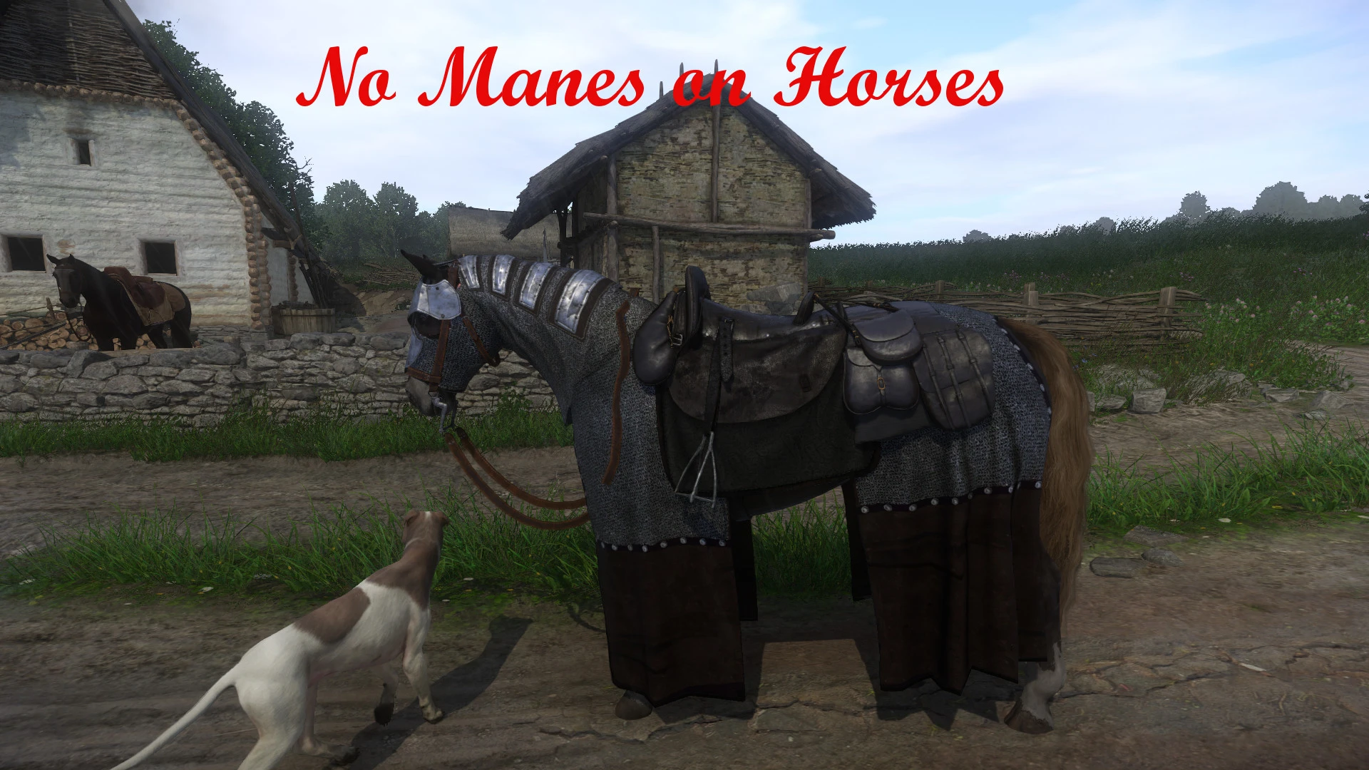 horse body armor kingdom come