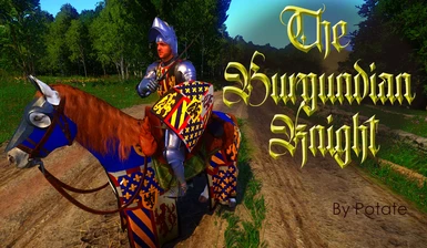 The Burgundian Knight